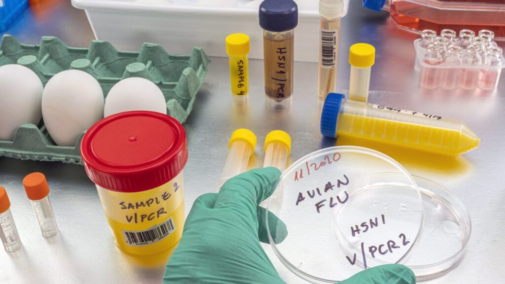 rfk-jr.-yanks-pandemic-vaccine-funding-as-moderna-reports-positive-results