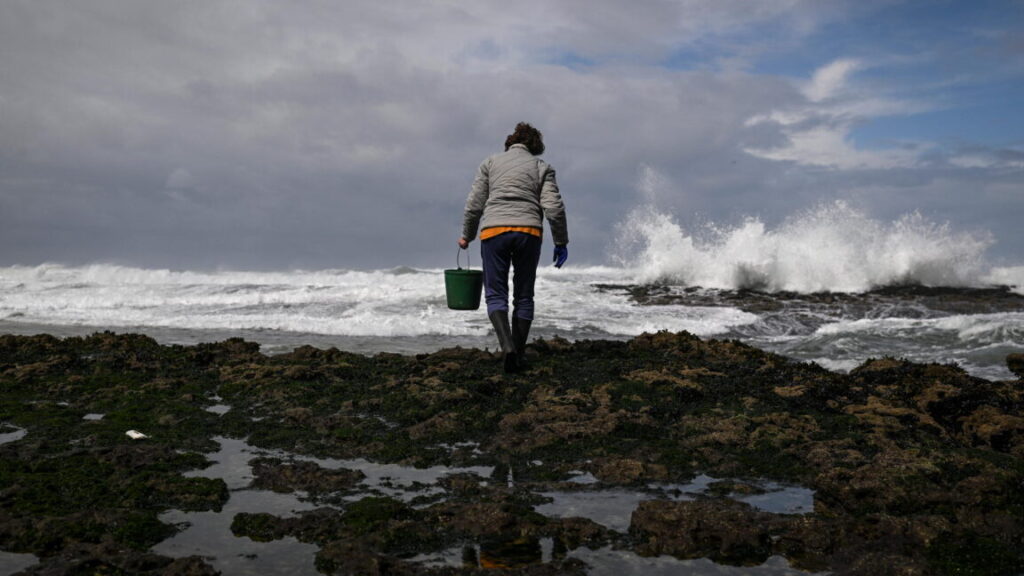 ocean-acidification-crosses-“planetary-boundaries”
