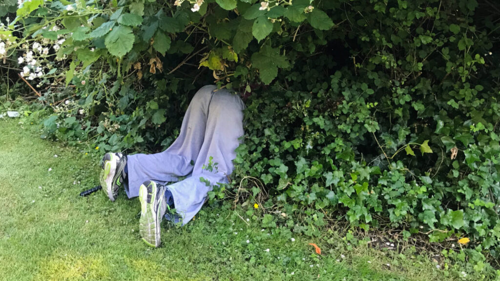 worst-hiding-spot-ever:-/nsfw/nope/don’t-open/you-were-warned/