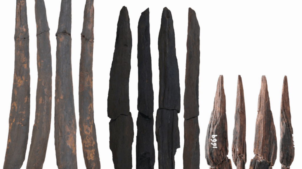 oldest-wooden-tools-in-east-asia-may-have-come-from-any-of-three-species