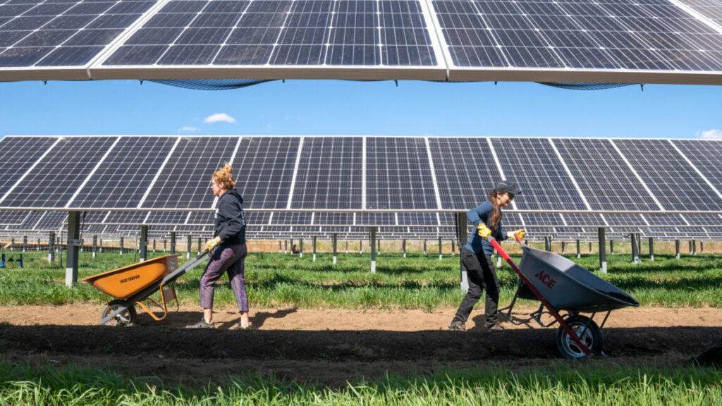 in-the-southwest,-solar-panels-can-help-both-photovoltaics-and-crops