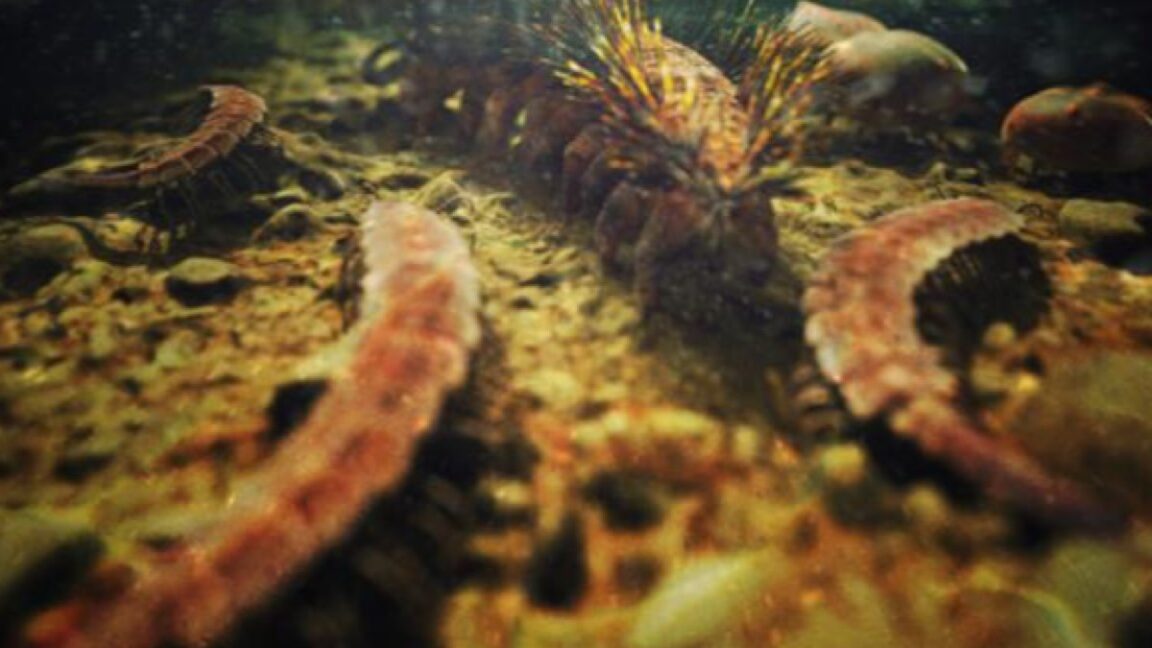 research-roundup:-7-cool-science-stories-we-almost-missed