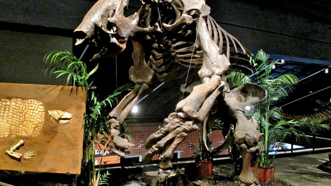 megafauna-was-the-meat-of-choice-for-south-american-hunters