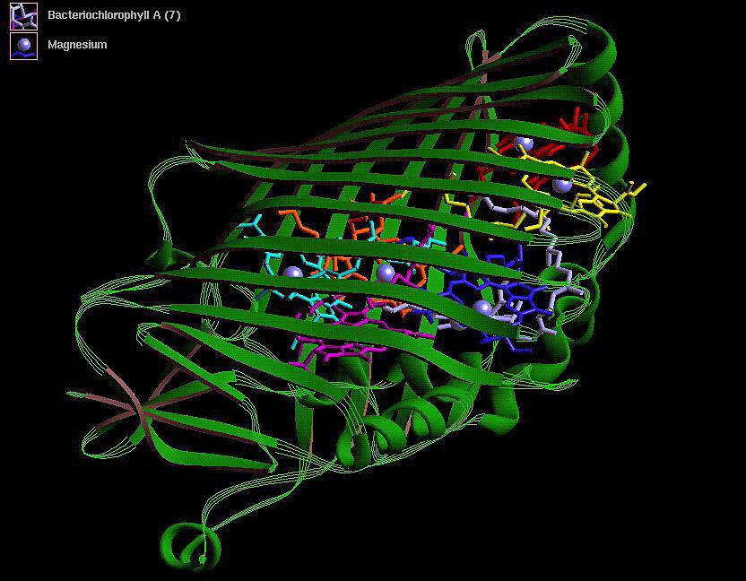 a-biological-0-day?-threat-screening-tools-may-miss-ai-designed-proteins.