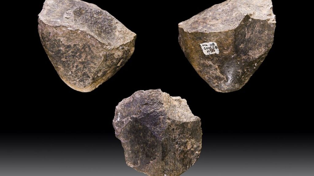 10,000-generations-of-hominins-used-the-same-stone-tools-to-weather-a-changing-world