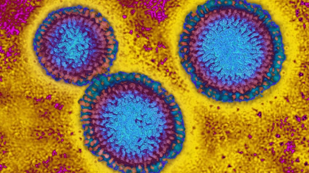 this-flu-season-looks-grim-as-h3n2-emerges-with-mutations